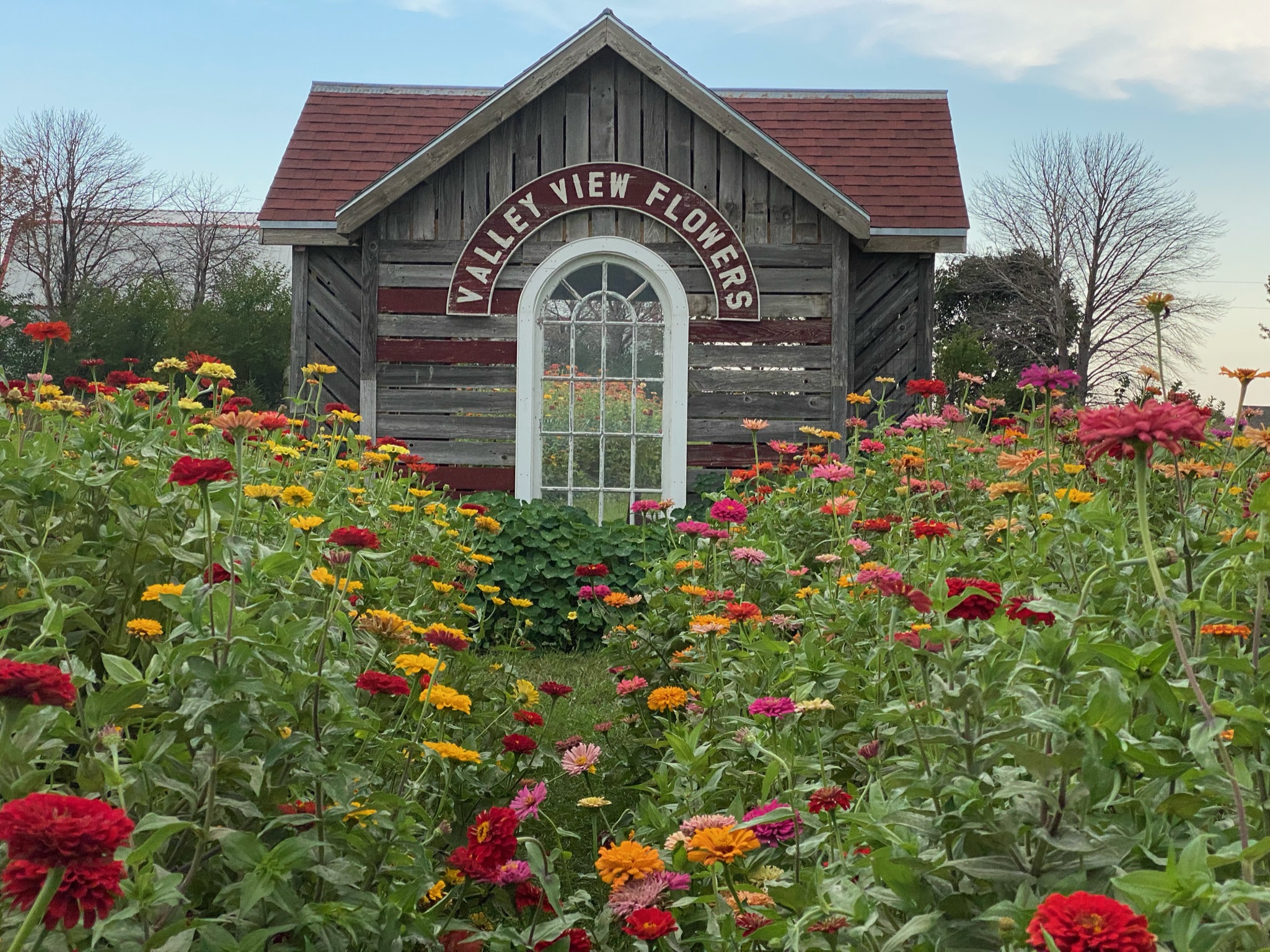 valleyviewflowers