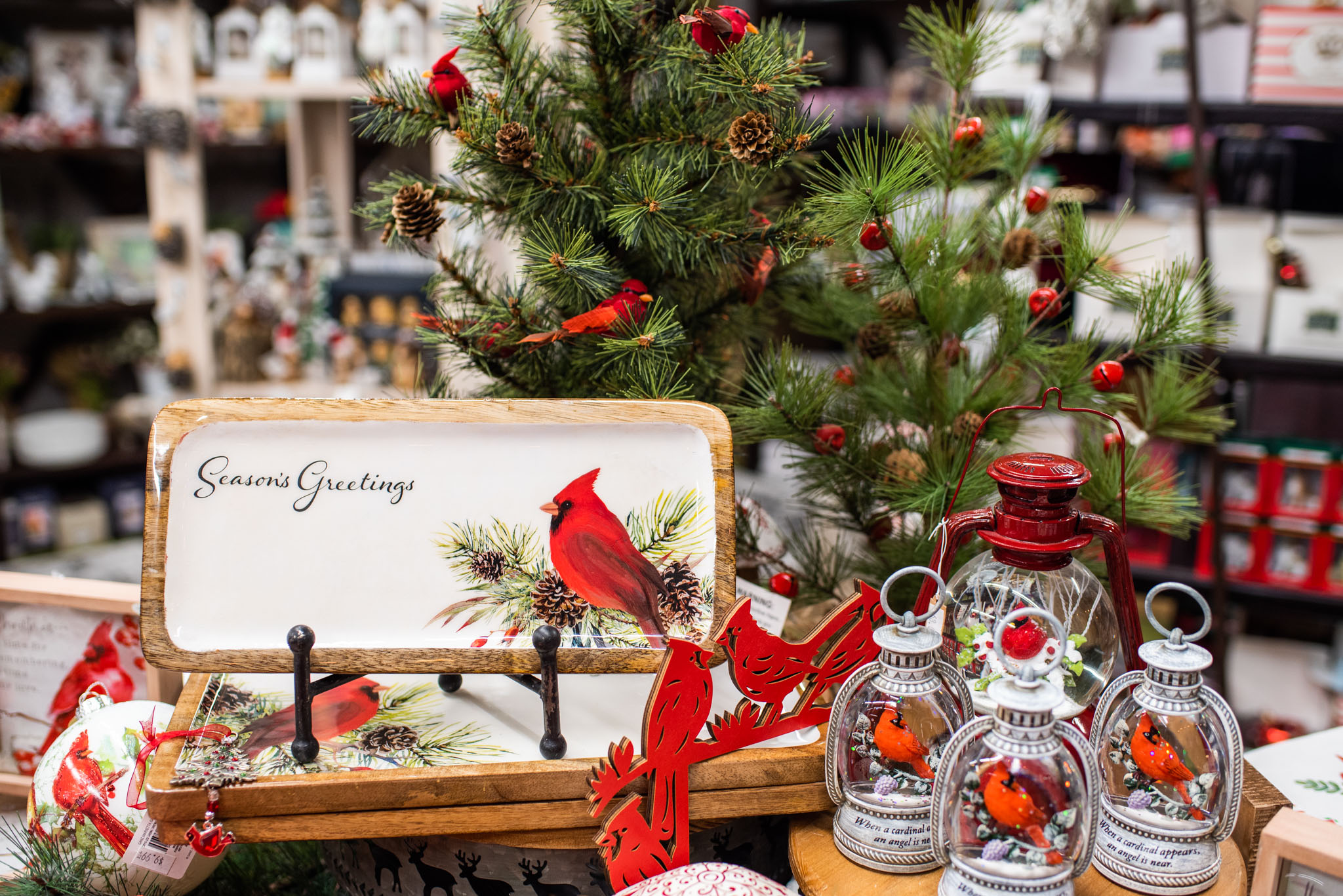 Holiday display in store with a Christmas tree and Cardinals surrounding.