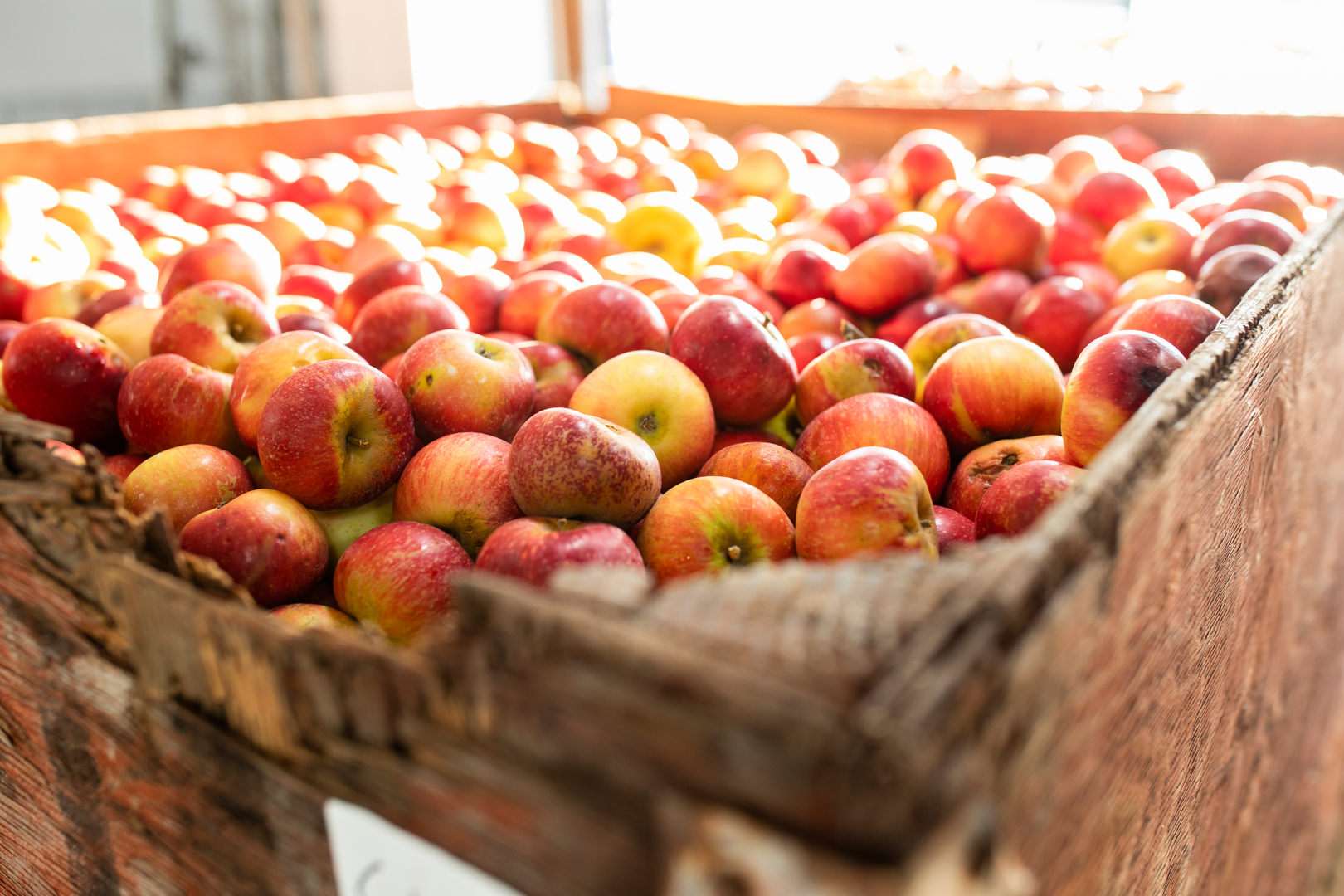 A stand of picked apples at Arbor Day Farm in Nebraska City.