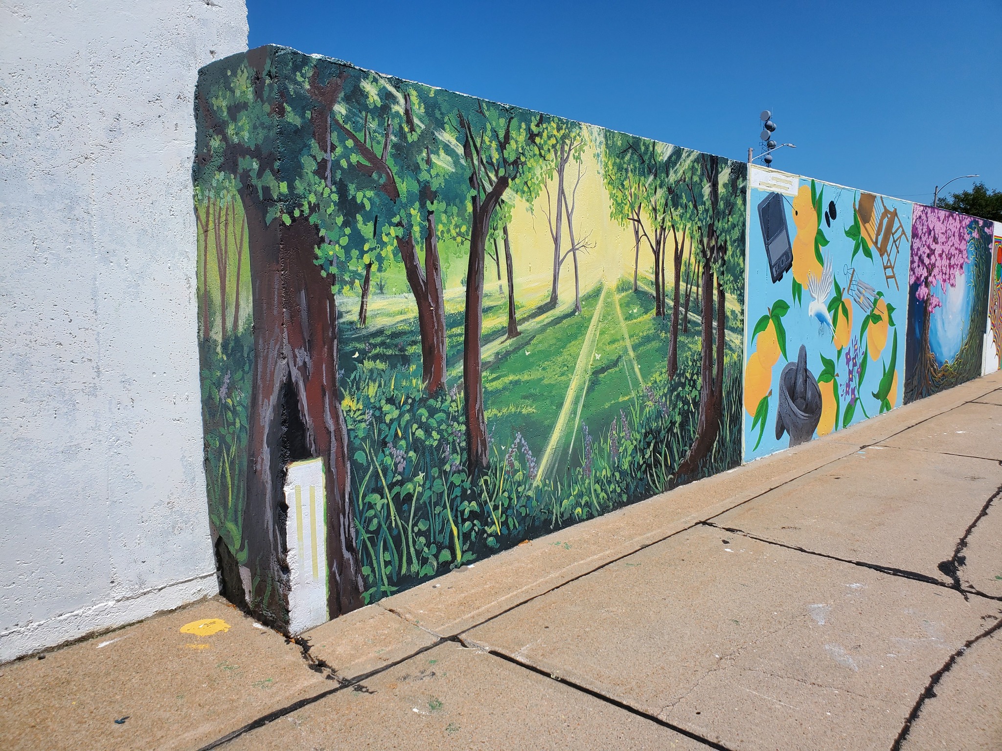 The Mural Project in Grand Island