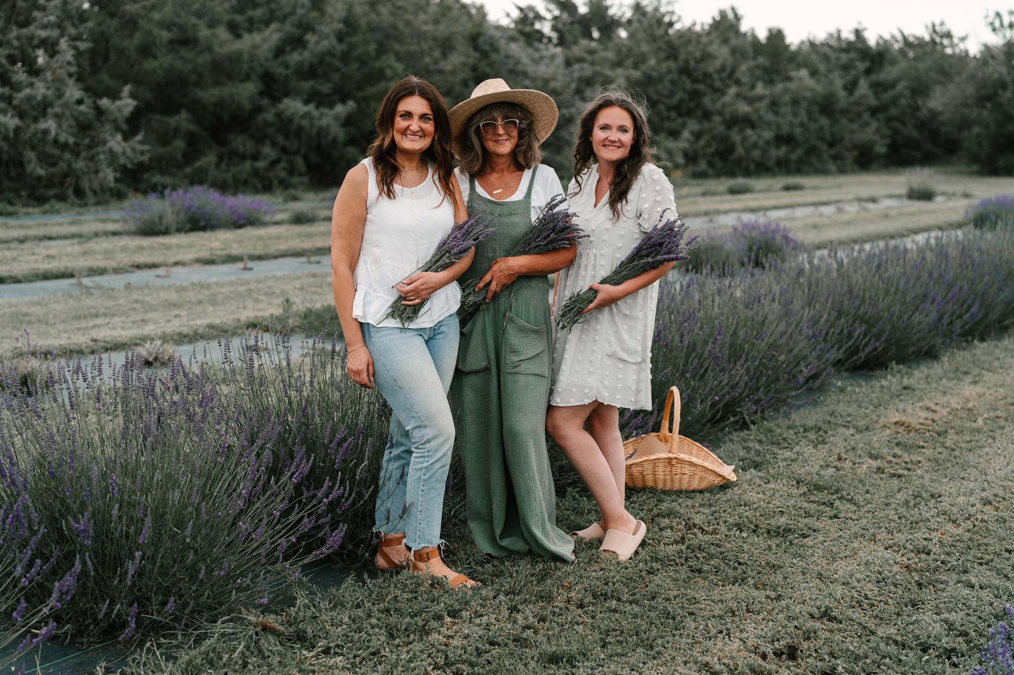 Our Lavender Co.