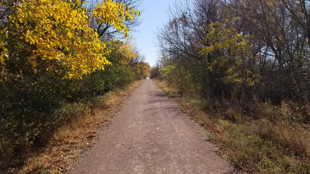 An open trail through fall foliage.