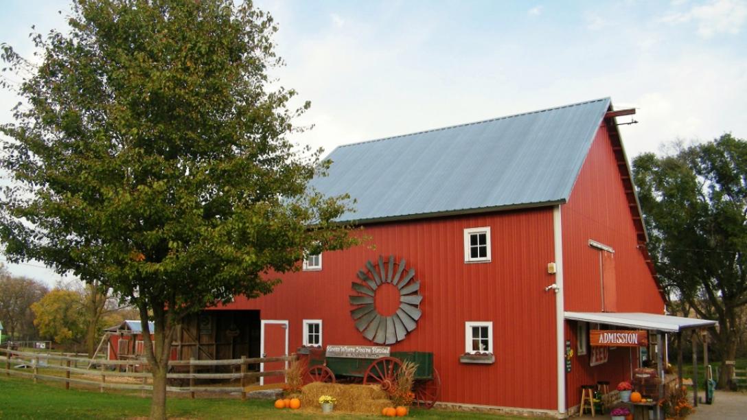 Red barn with a fall pumpkin display at Bloom Where You're Planted Farm and Pumpkin Patch in Avoca.