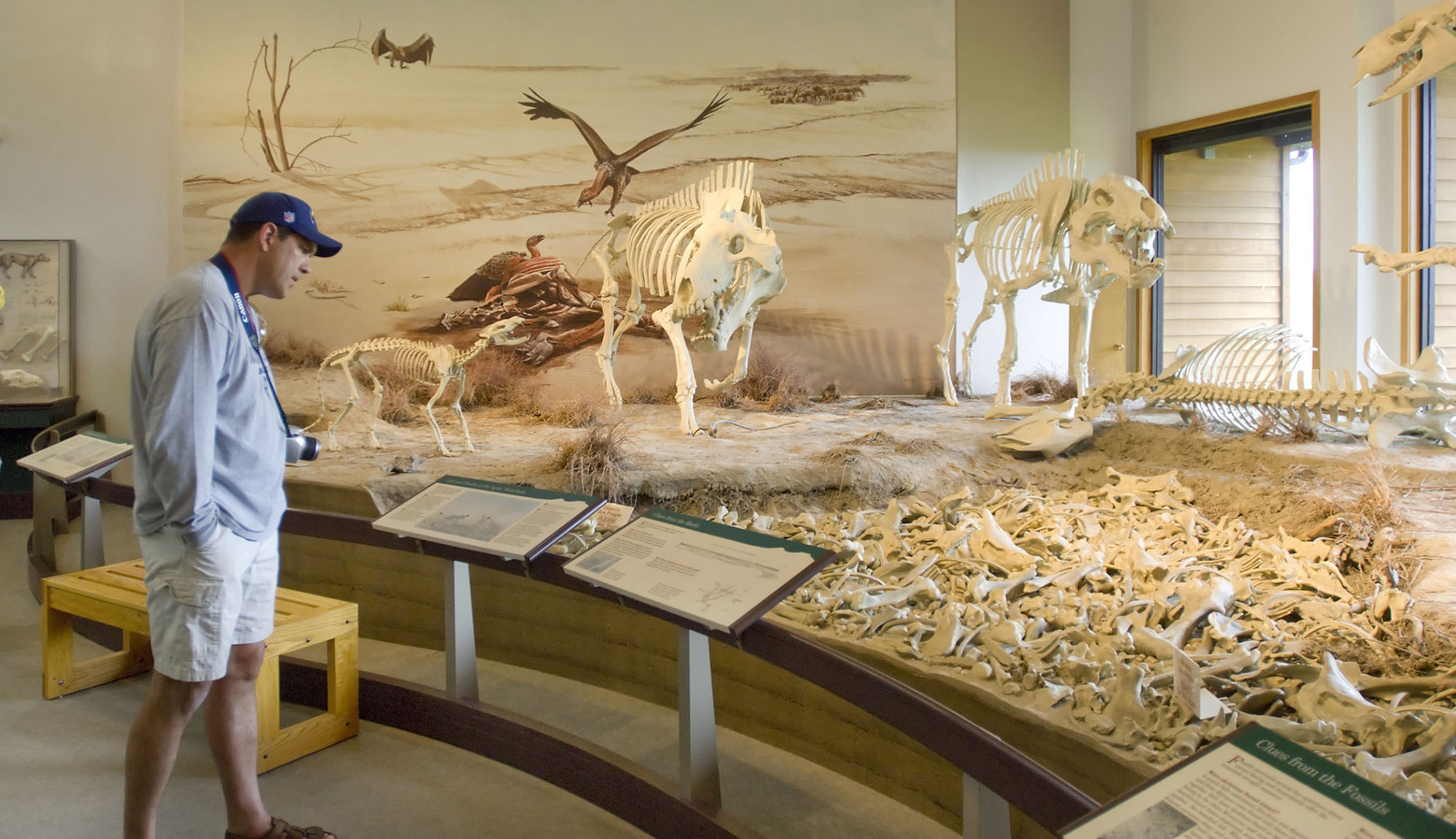 Onlooker at an exhibit at Agate Fossil Beds National Monument.