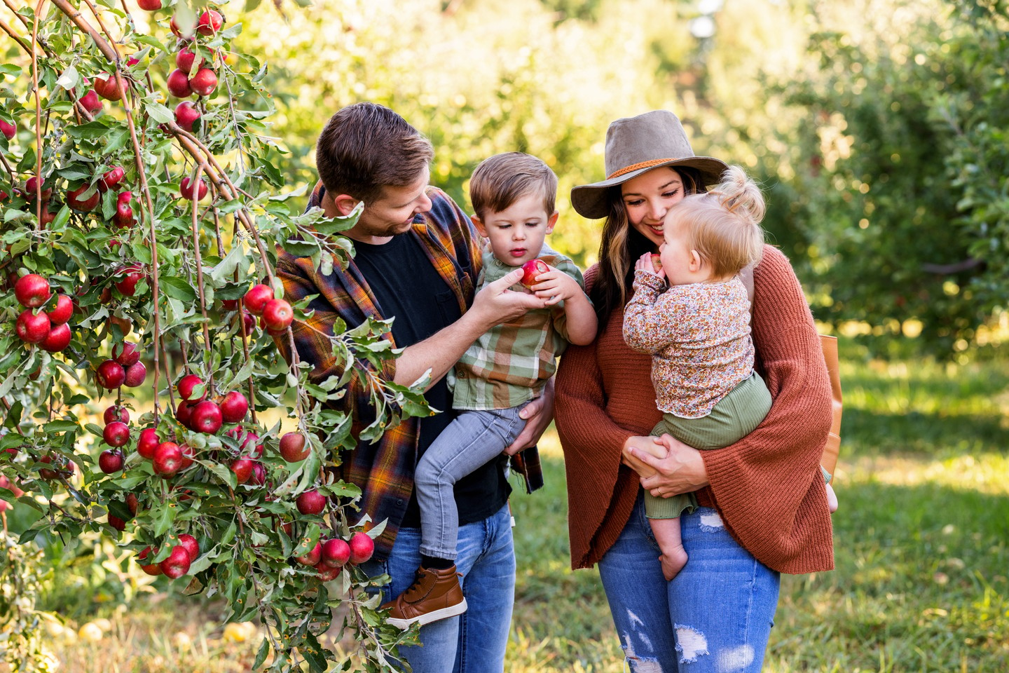 A family of four picking apples at Arbor Day Farm in Nebraska City.