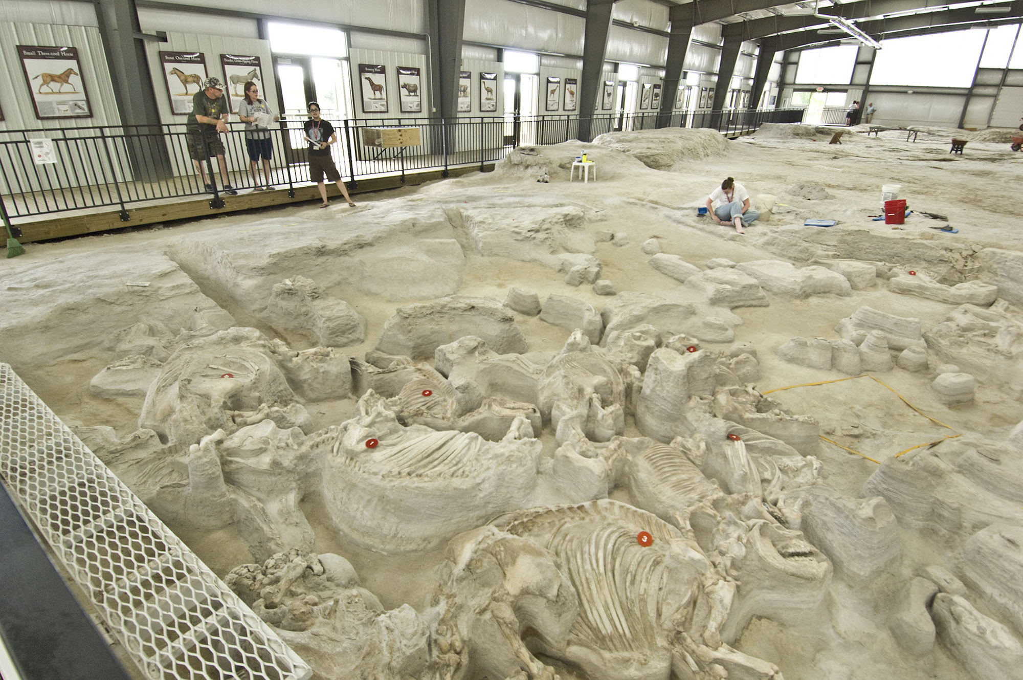 Fossil beds at Ashfall Fossil Beds State Historical Park.