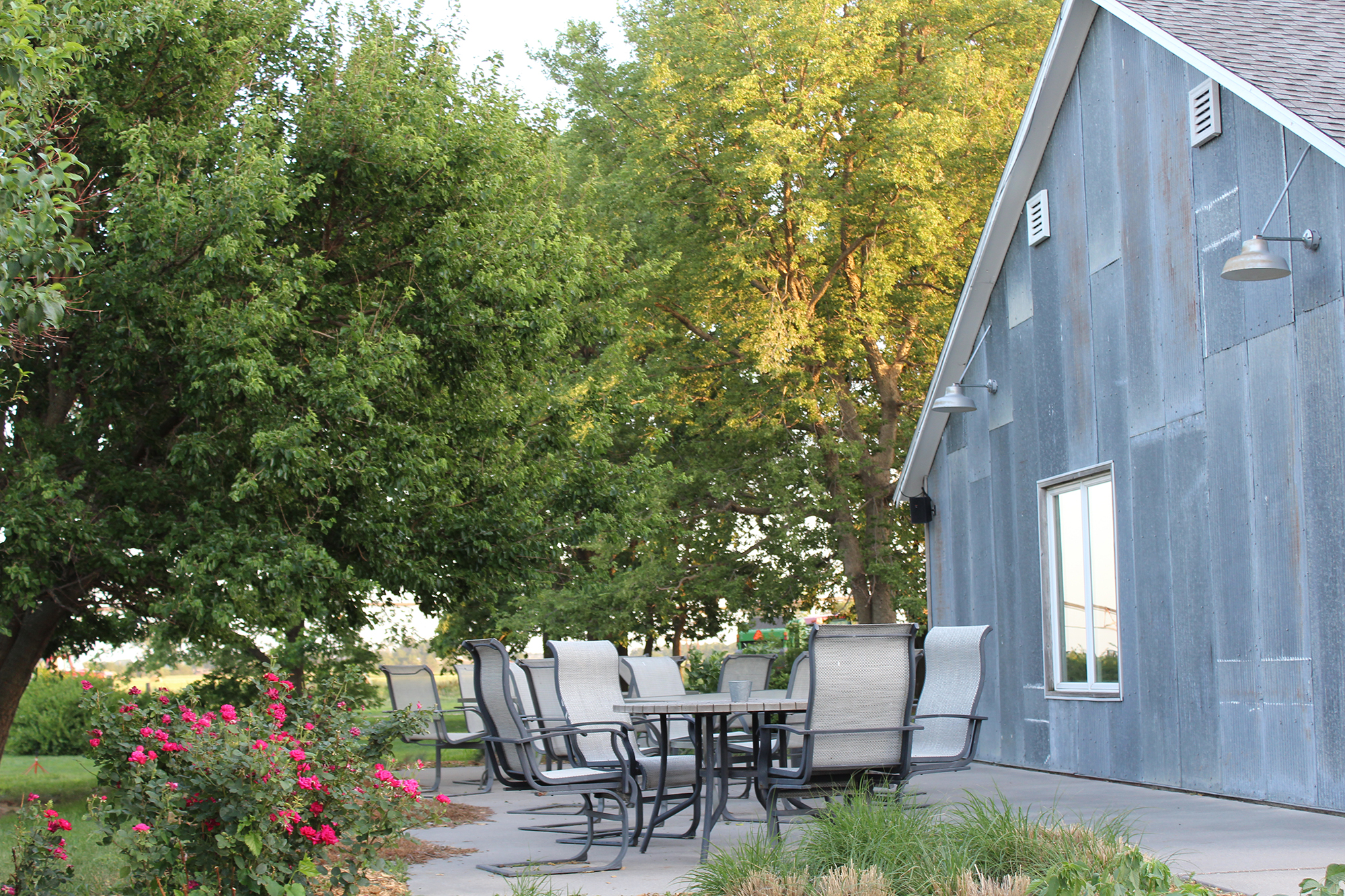 Patio at Burchell's White Hill Farmhouse