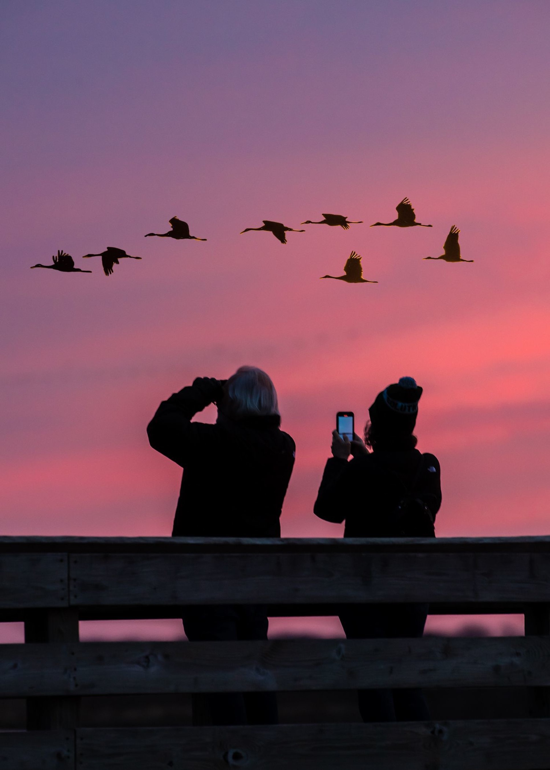 Crane Watchers