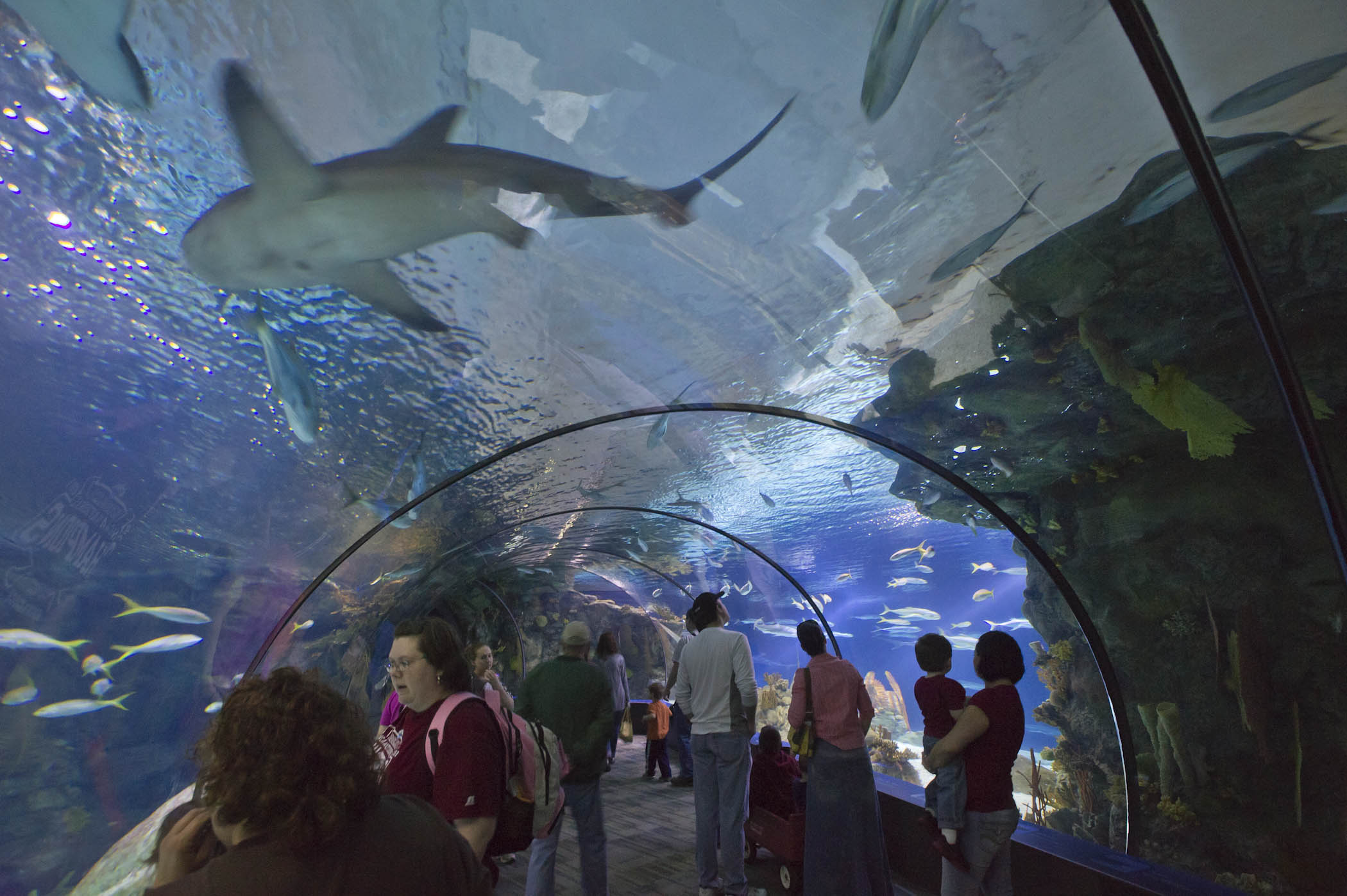 Omaha's Henry Doorly Zoo & Aquarium