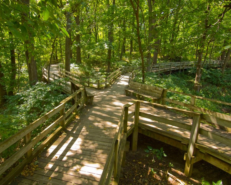 Fontenelle Forest, Raptor Recover, Nature