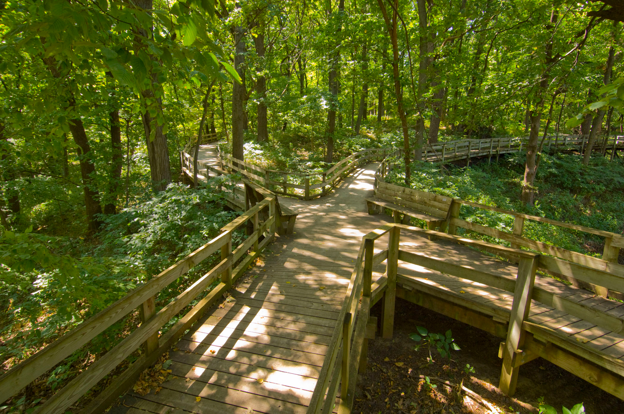 Fontenelle Forest