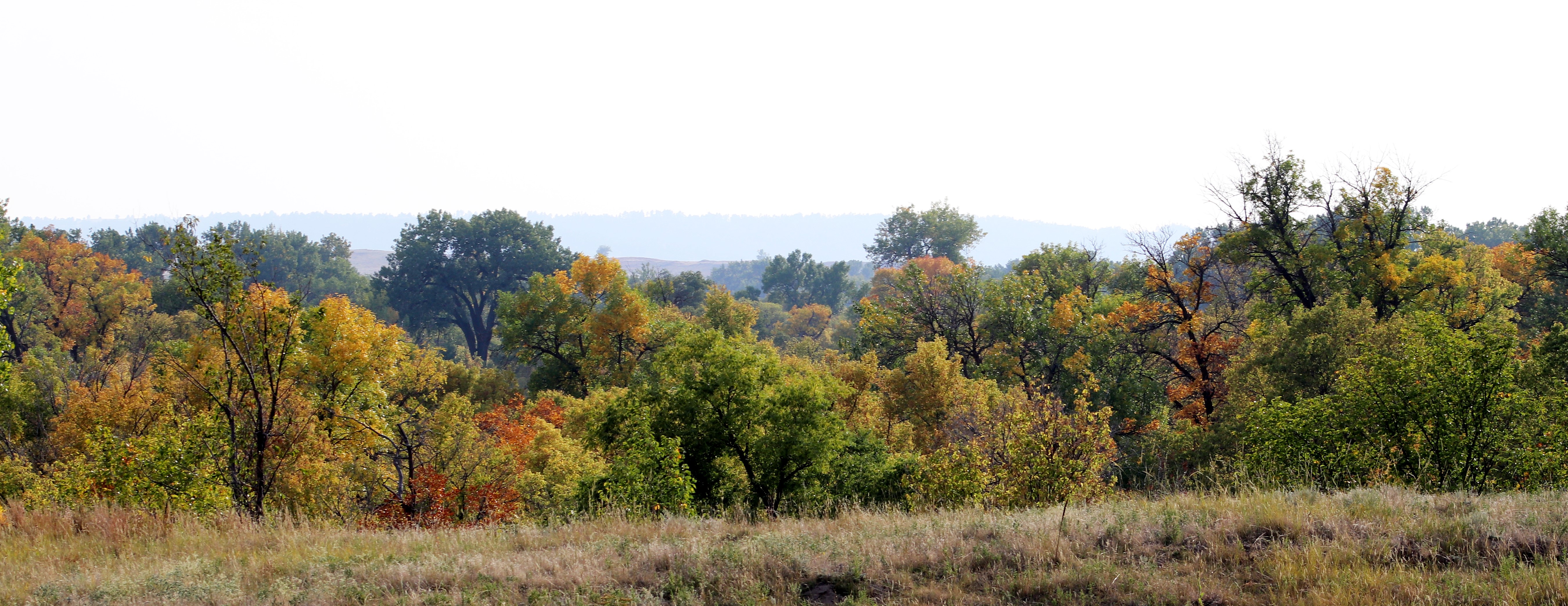 Fall foliage near Fort Robinson State Park.