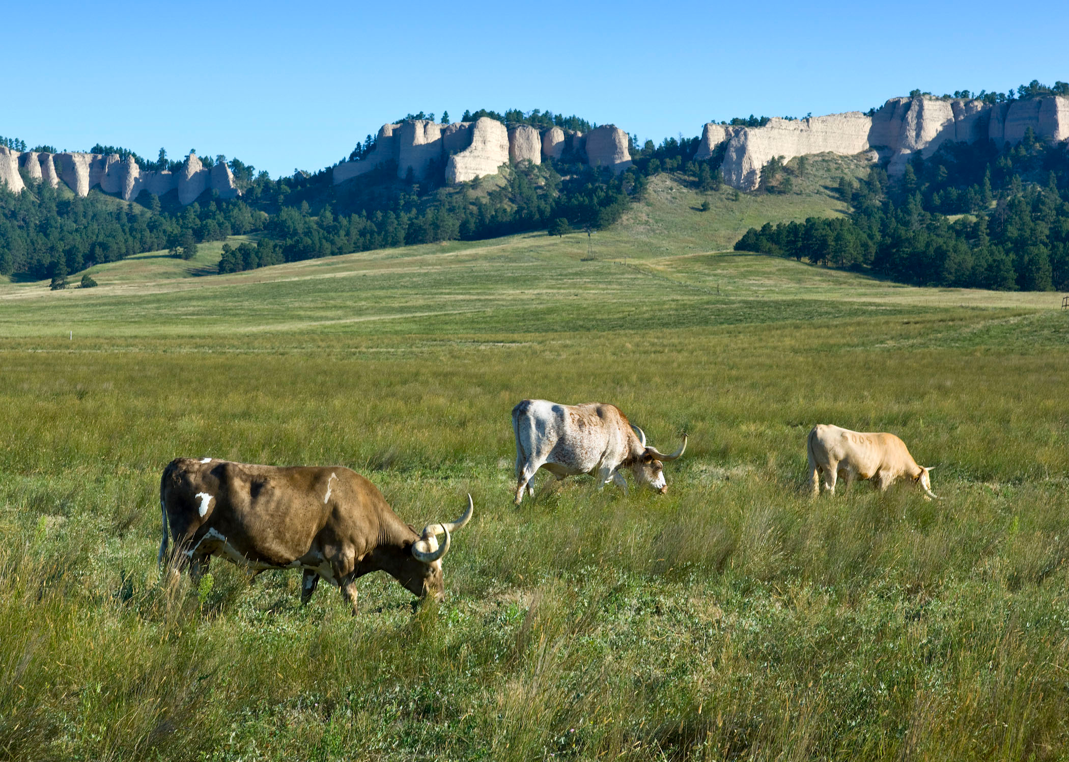 Fort Robinson Crawford