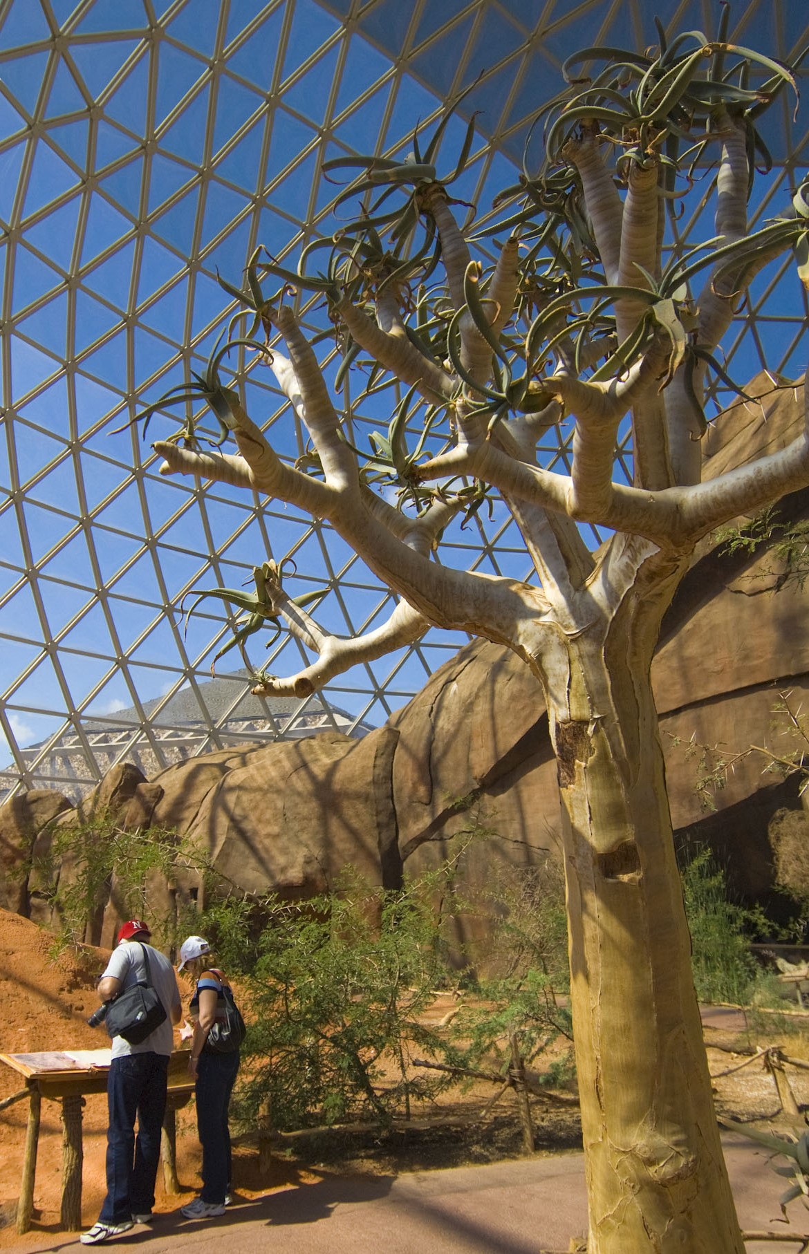 Desert Dome, Henry Doorly Zoo