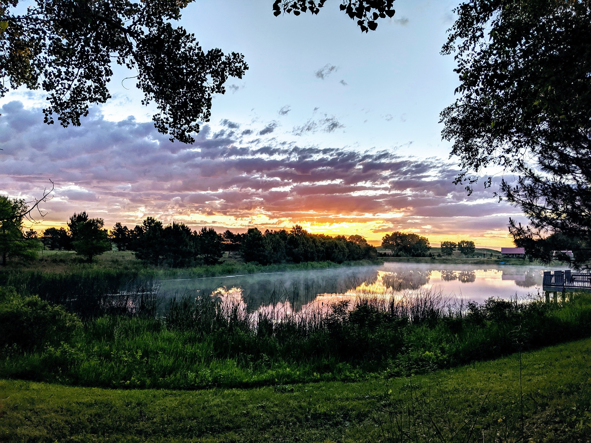 Nebraska National Forest (Bessey Ranger District)