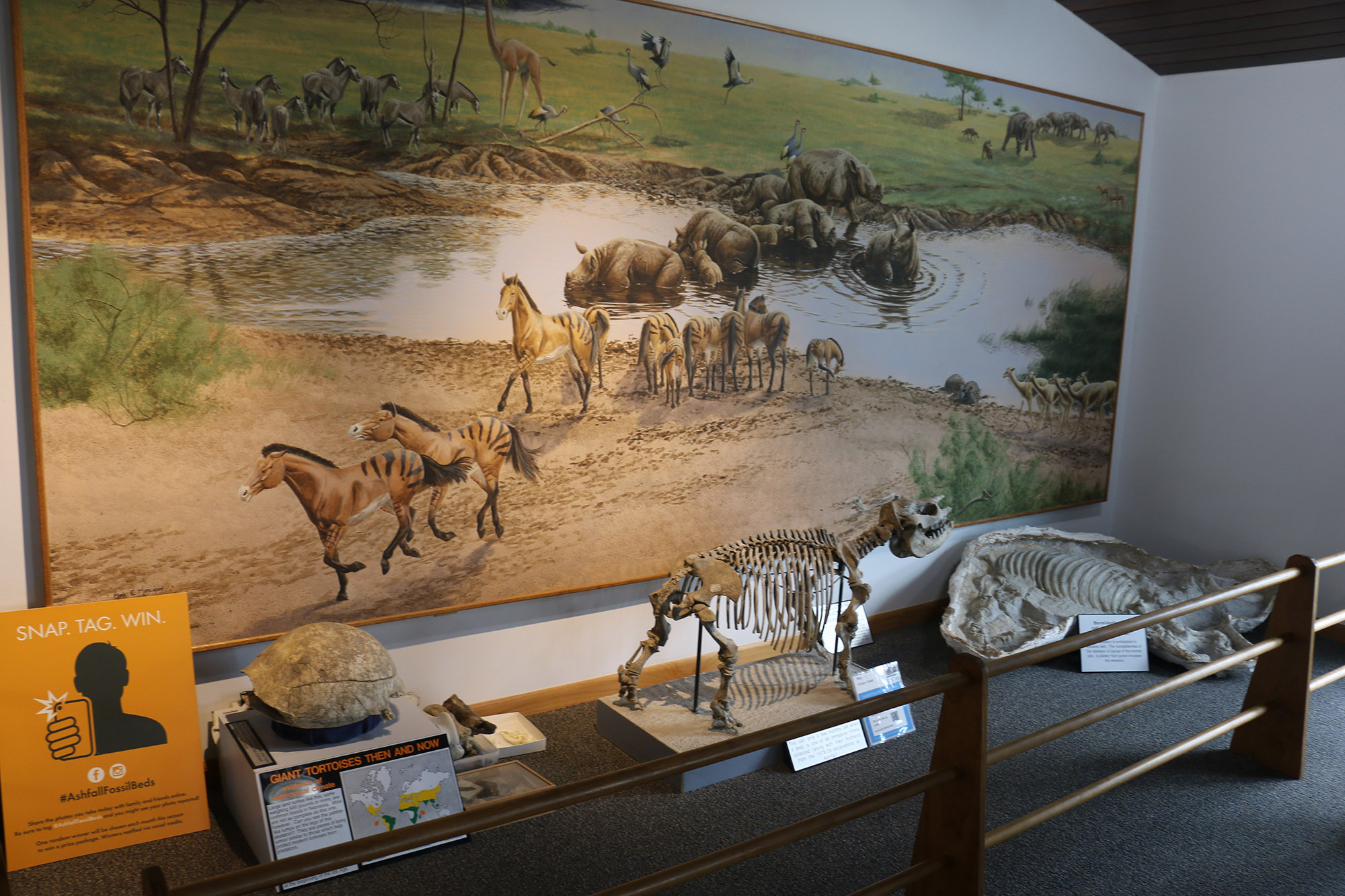 Exhibit at Ashfall Beds State Historical Park