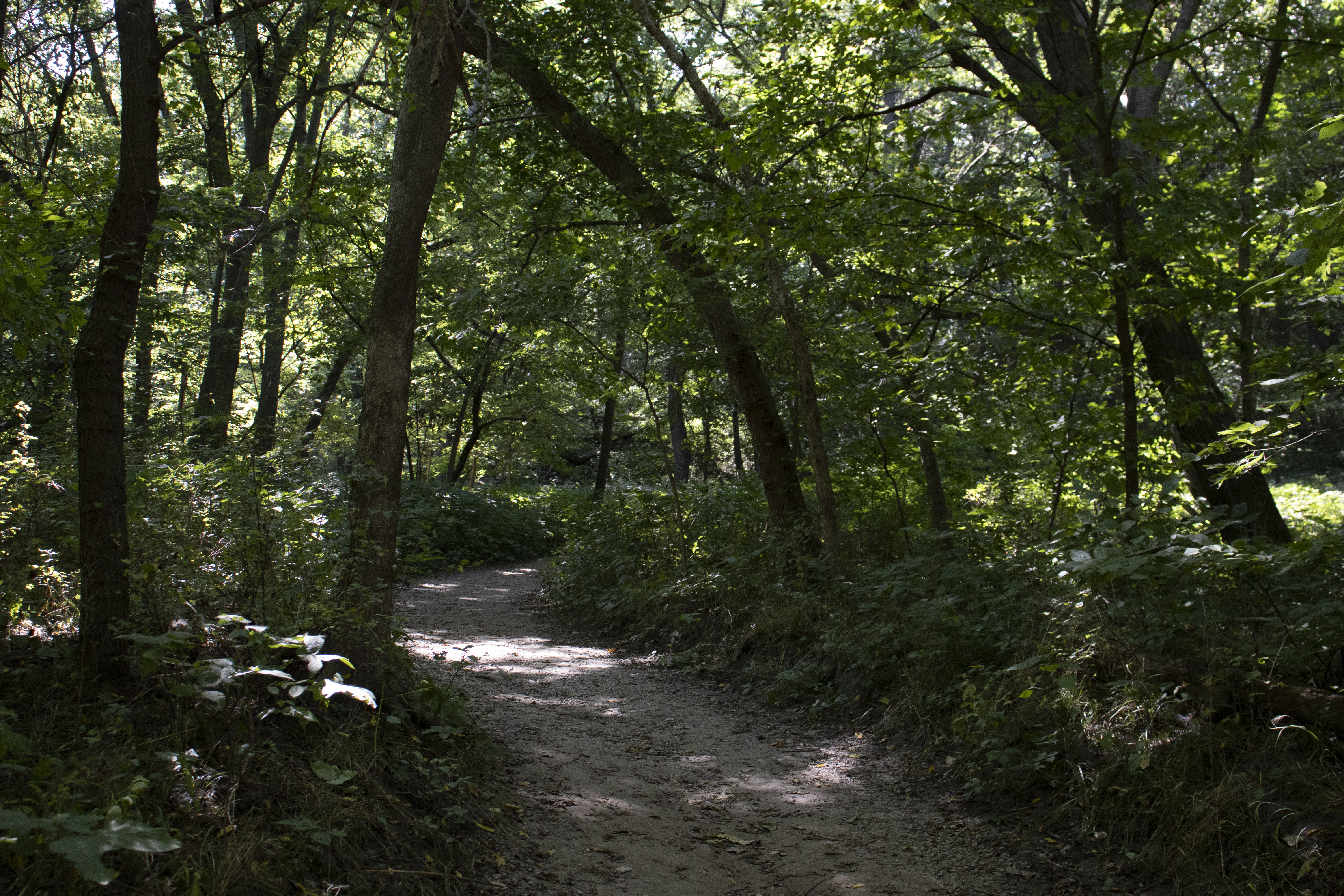 Trail at Platte River State Park