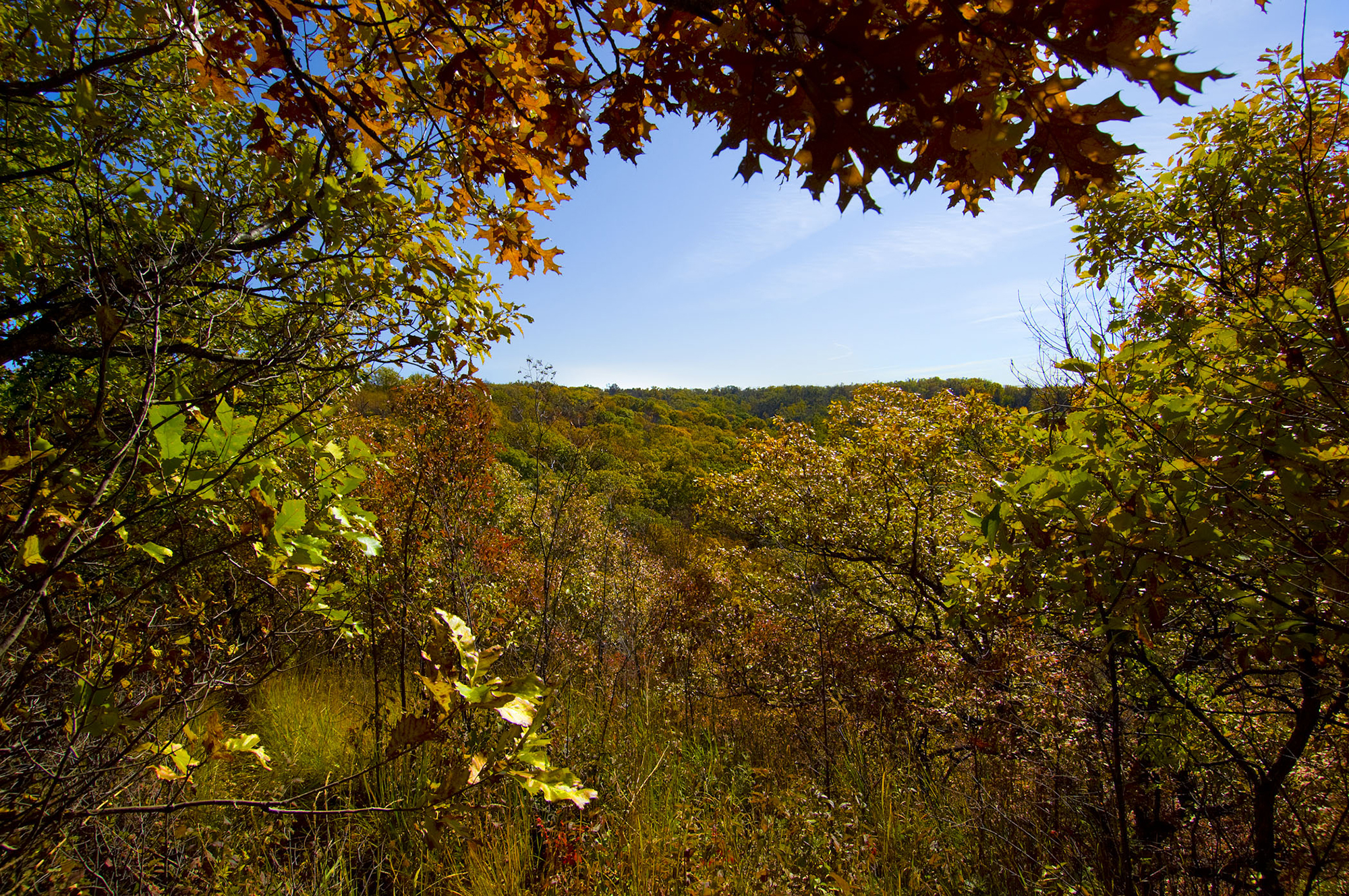 Fall foliage on Indian Cave State Park. 