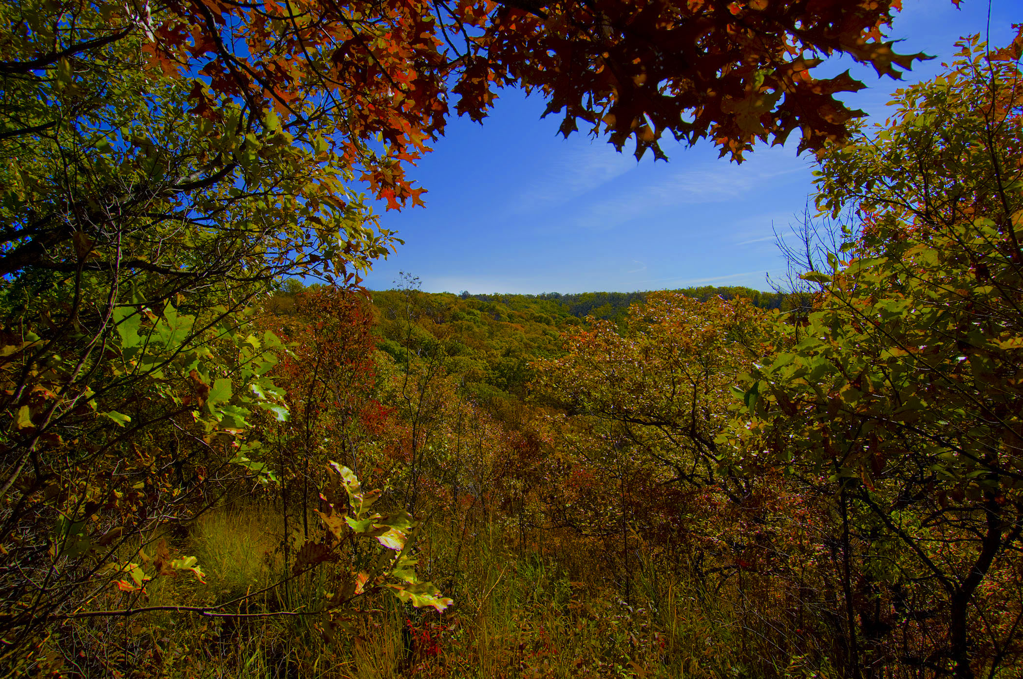 Bright orange, yellow and red fall leaves at Indian Cave State Park.