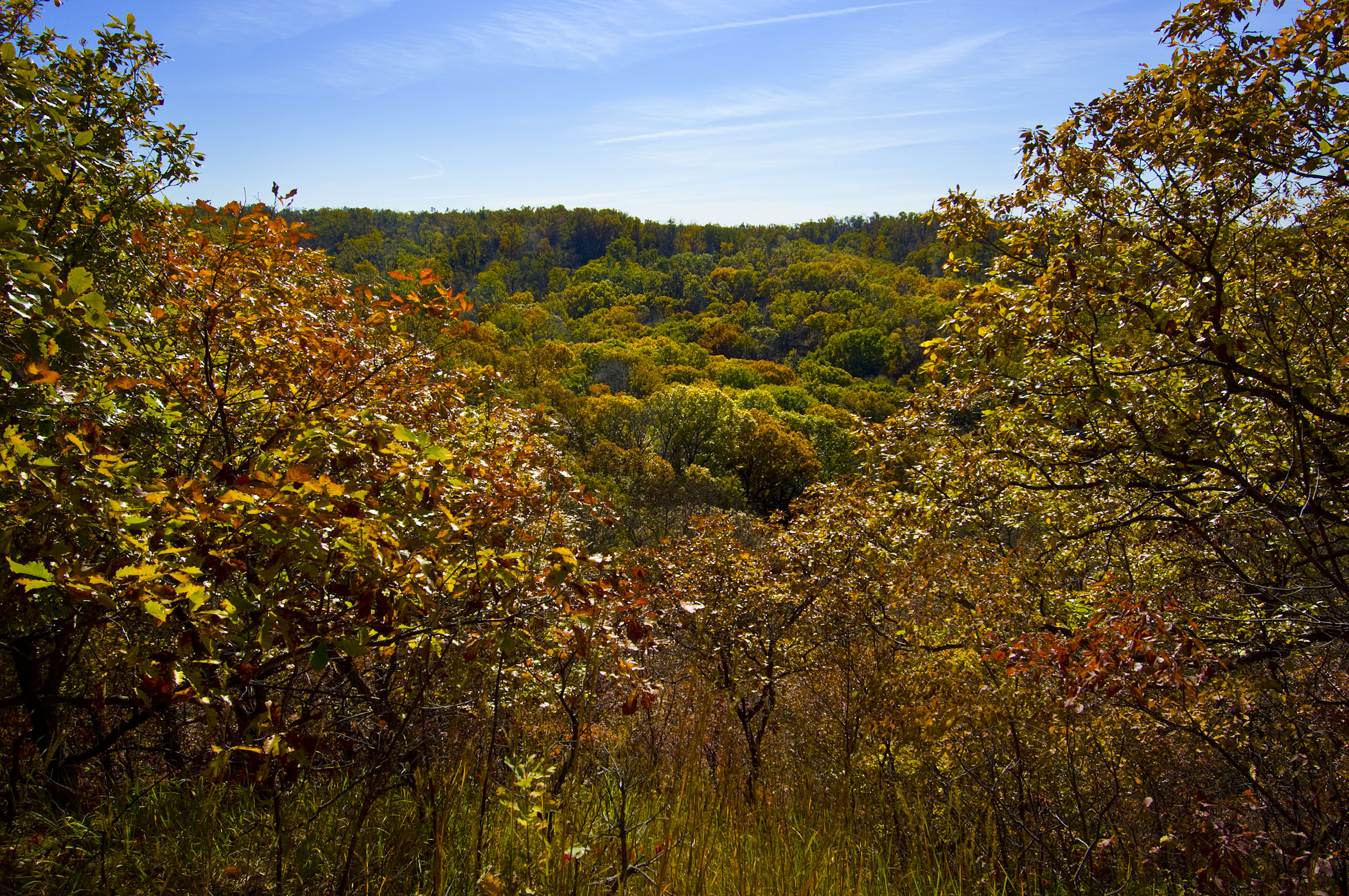 Indian Cave State Park Fall Colors