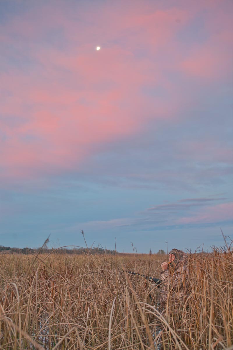 Hunter in field