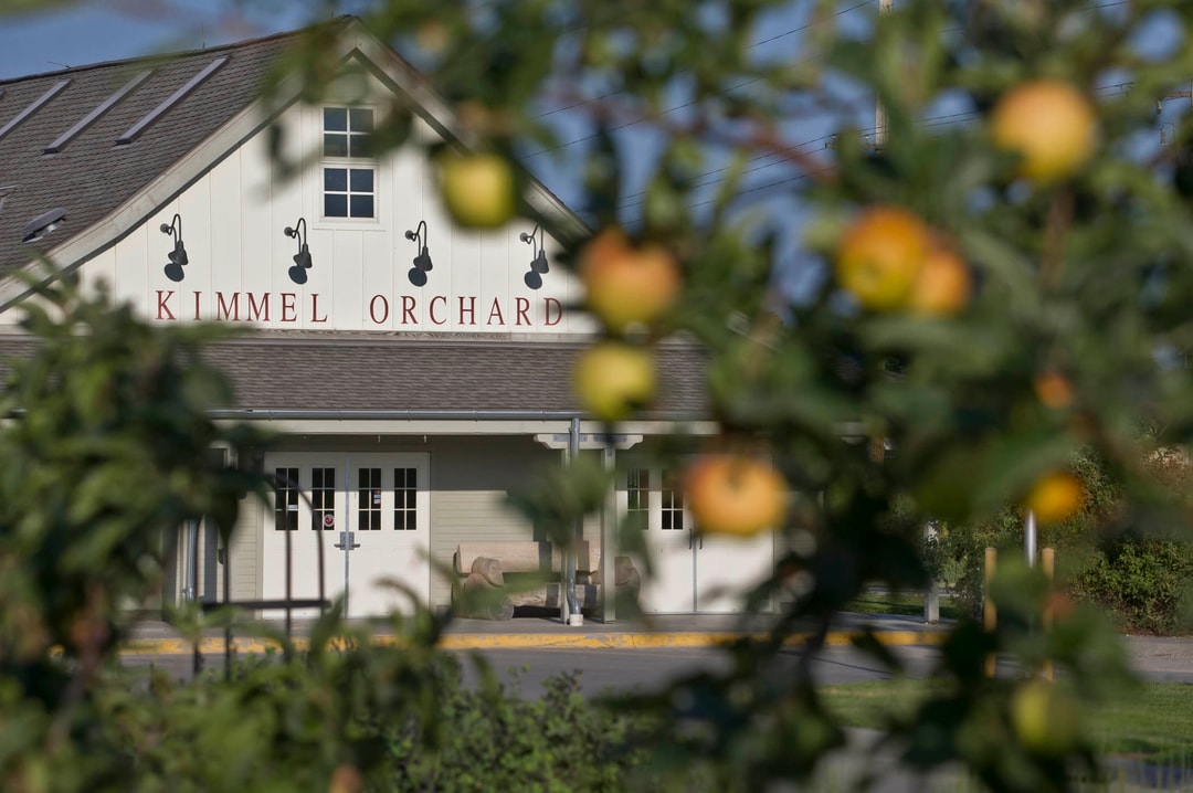 The exterior of Kimmel Orchard through apple trees.