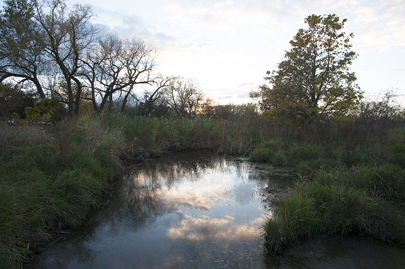 Mormon Island