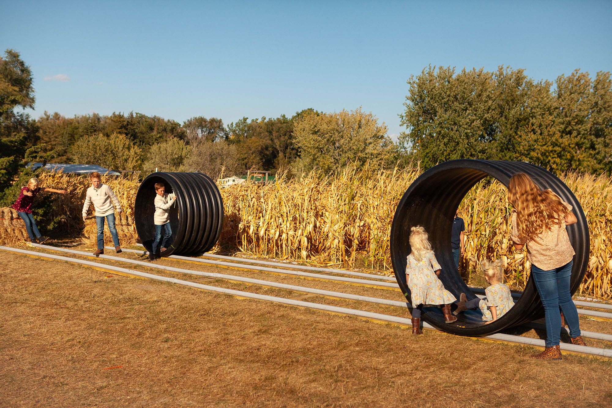 Hamster Wheels at Poppy's Pumpkin Patch | NAVB