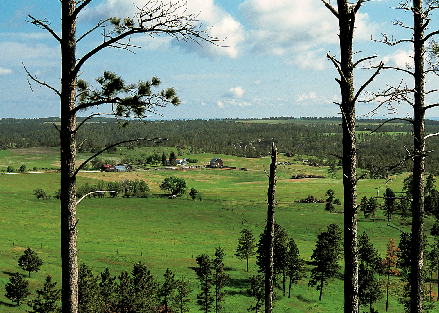 Scenic overlook at Nebraska National Forest