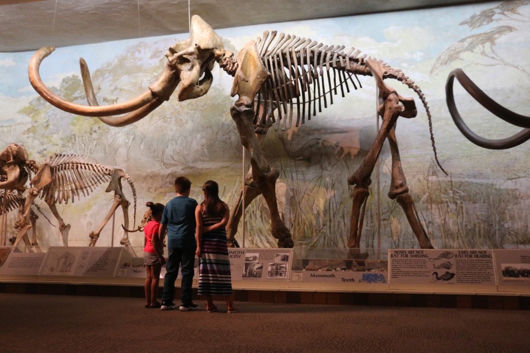 University of Nebraska State Museum at Morrill Hall