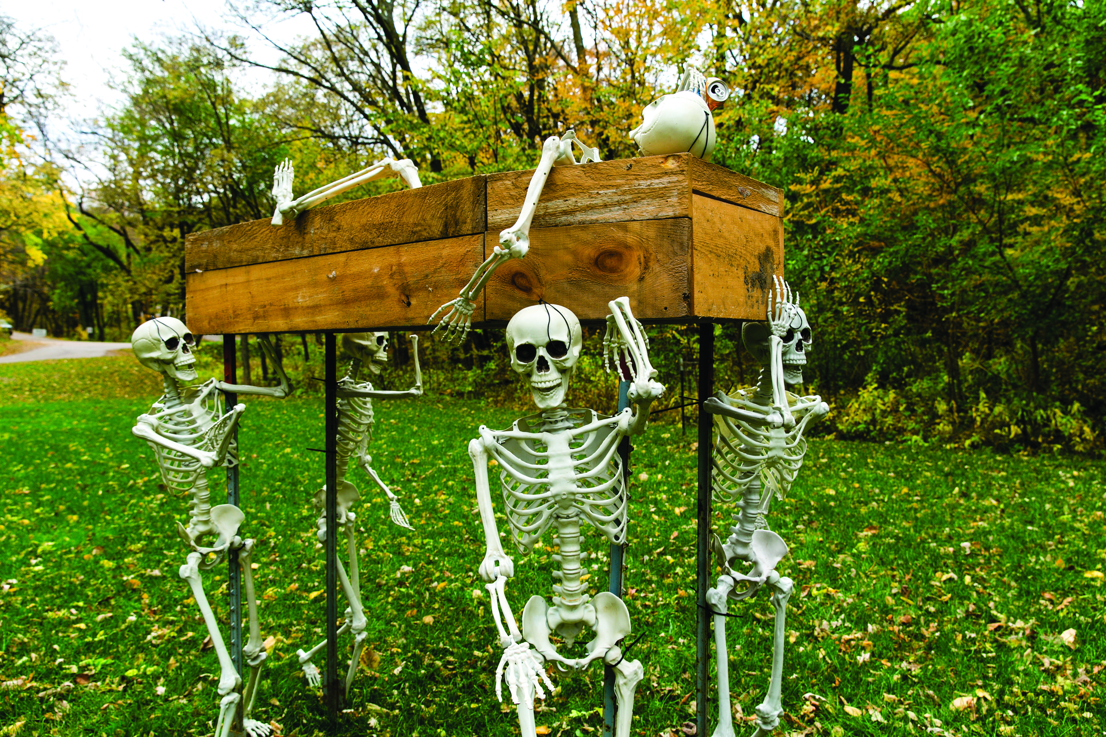 Halloween skeleton decorations at Haunted Hollow at Ponca State Park.