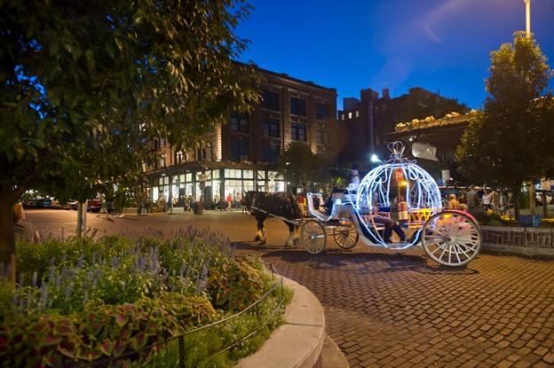 Old Market Carriage Ride