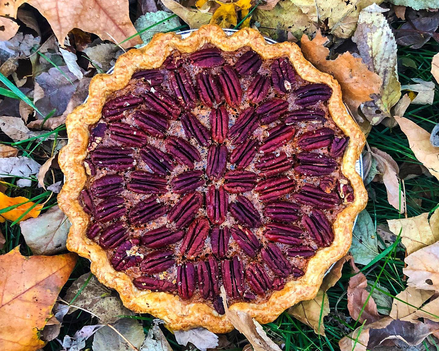 Pie, Sweet Magnolias Bake Shop