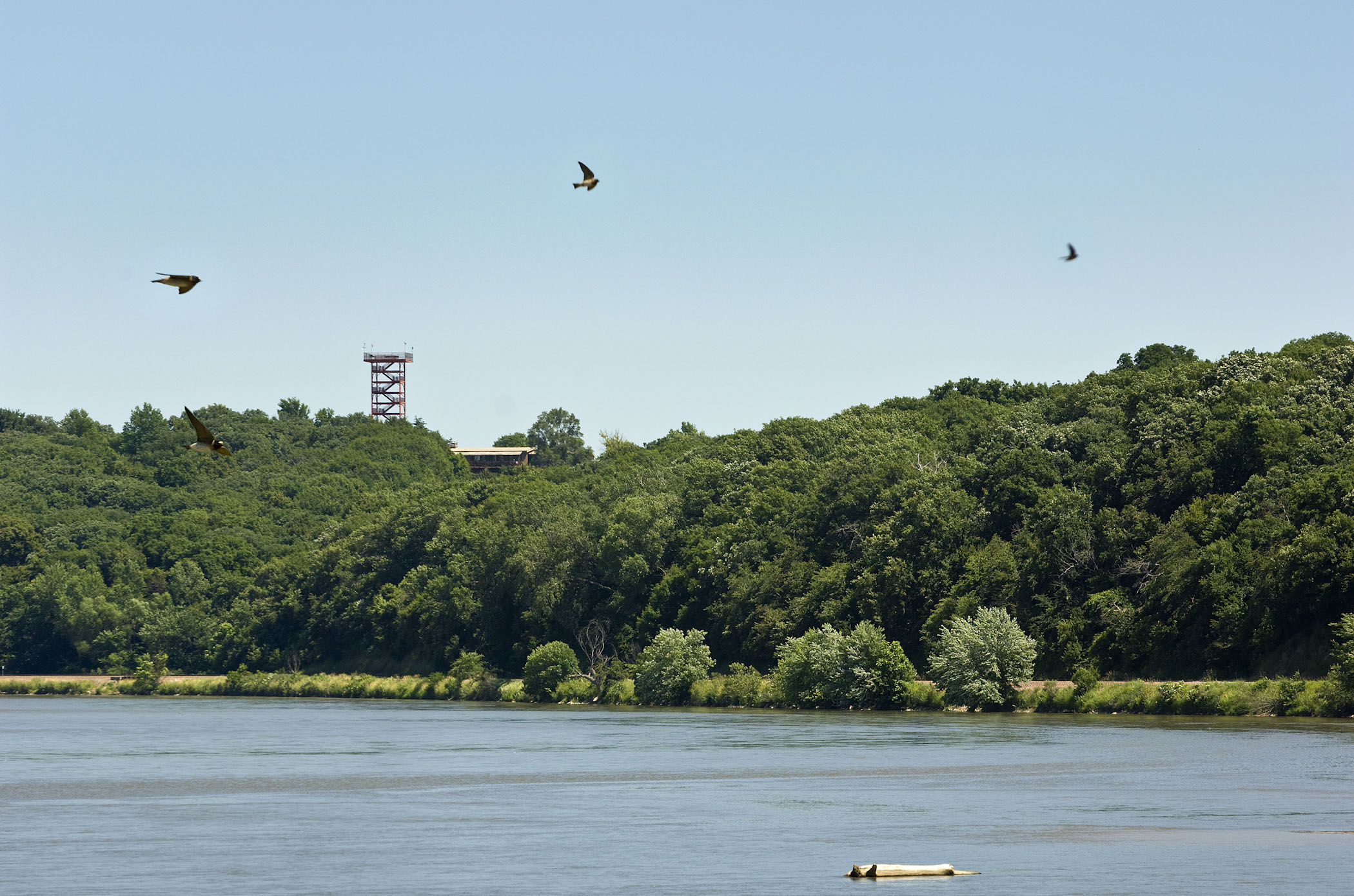 View of the tower from Platte River State Park