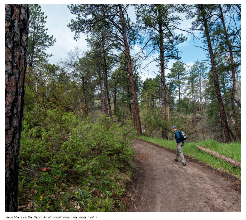 nebraska national forest