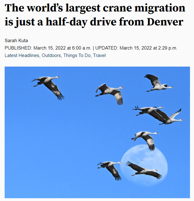 The world’s largest crane migration is just a half-day drive from Denver 