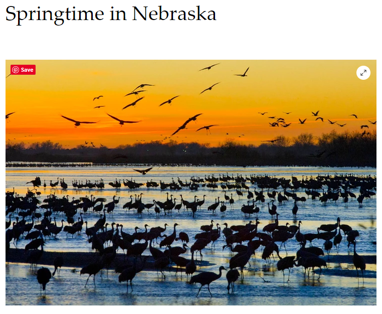 Springtime in Nebraska 