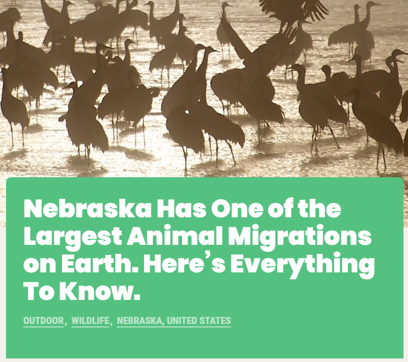 Nebraska Has One of the Largest Animal Migrations on Earth. Here’s Everything to Know