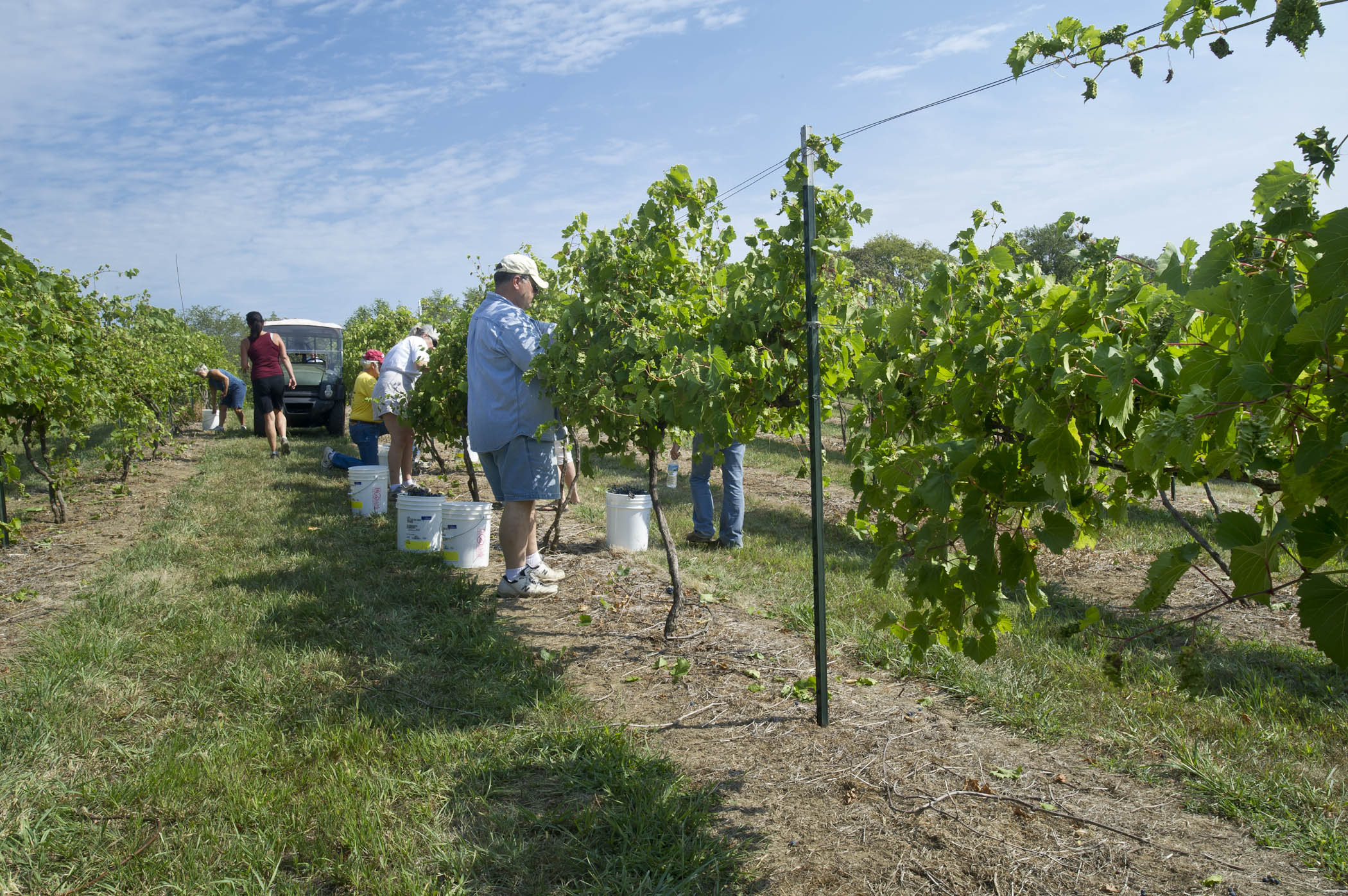 Silver Hills Winery