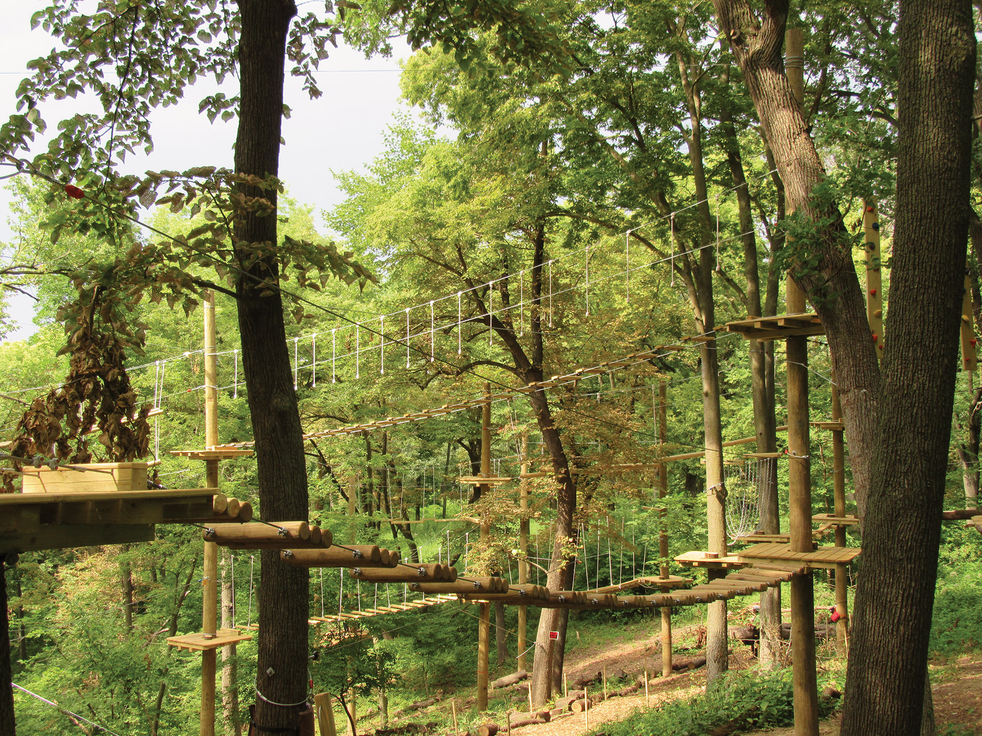 TreeRush Adventures at Fontenelle Forest.