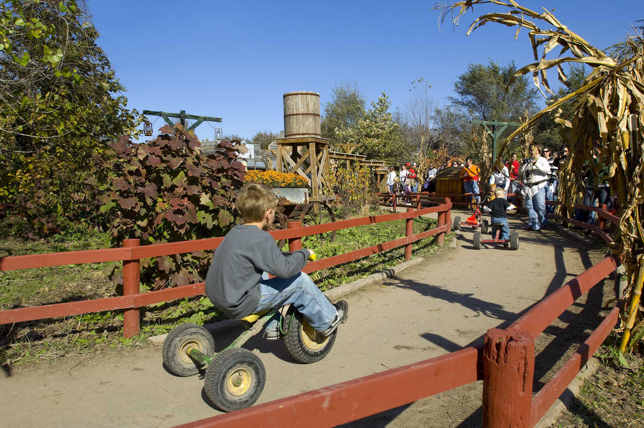 Kids riding trikes at Vala's Pumpkin Patch.