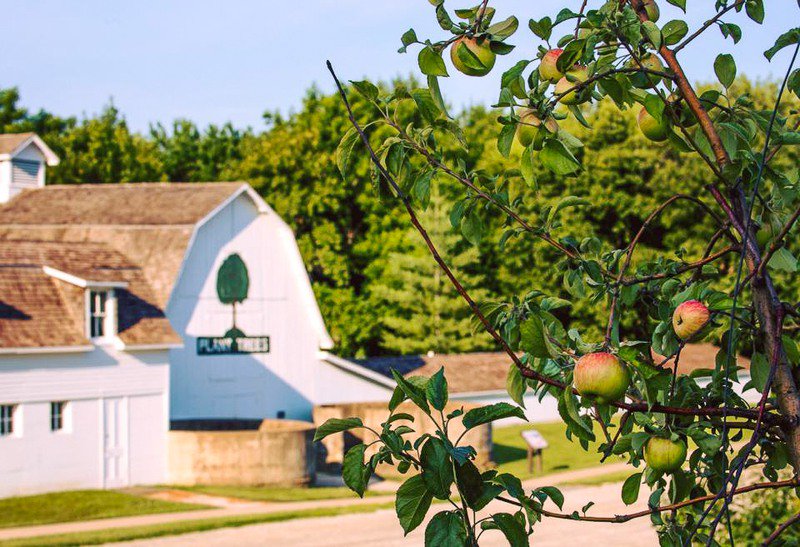 Arbor Day Farm