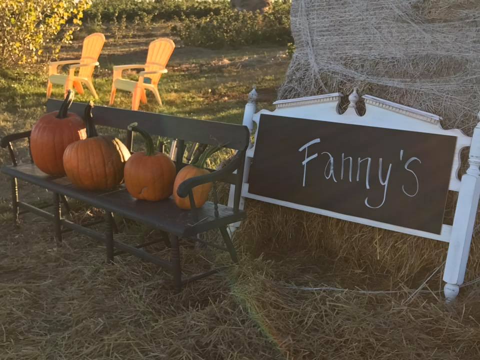 Pumpkins displayed on a bench next to a chalkboard sign at Fanny's Fruit Farm.