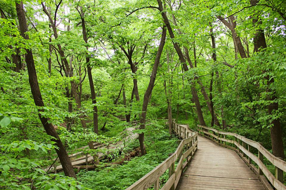 Fontenelle Forest