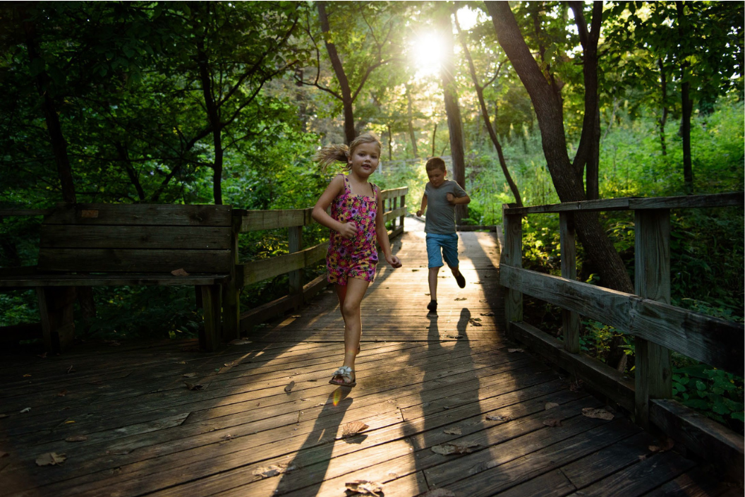 Fontenelle Forest boardwalk