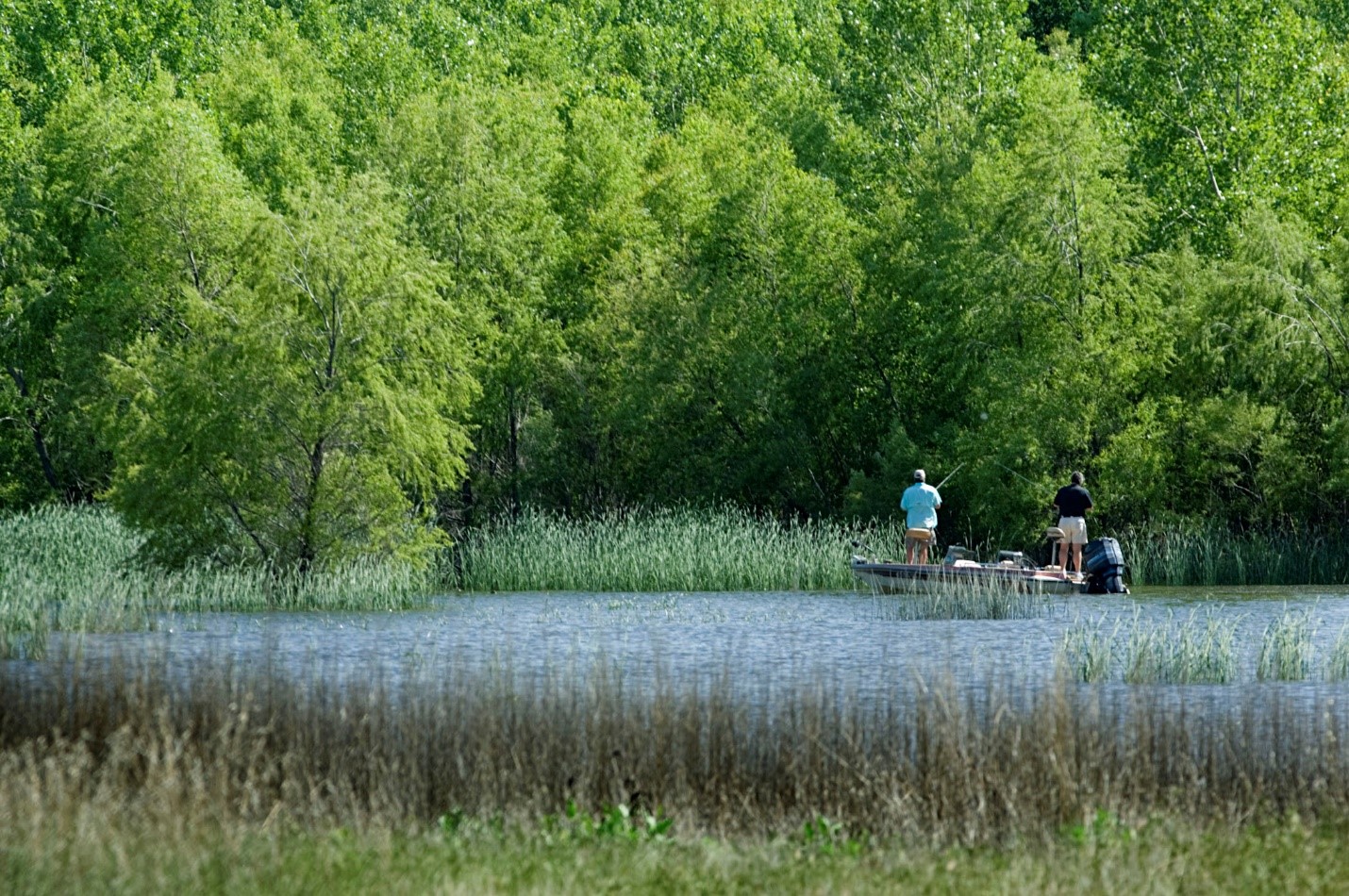 Swanson Reservoir