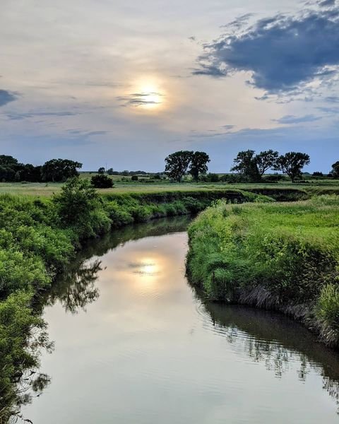 frank shoemaker marsh