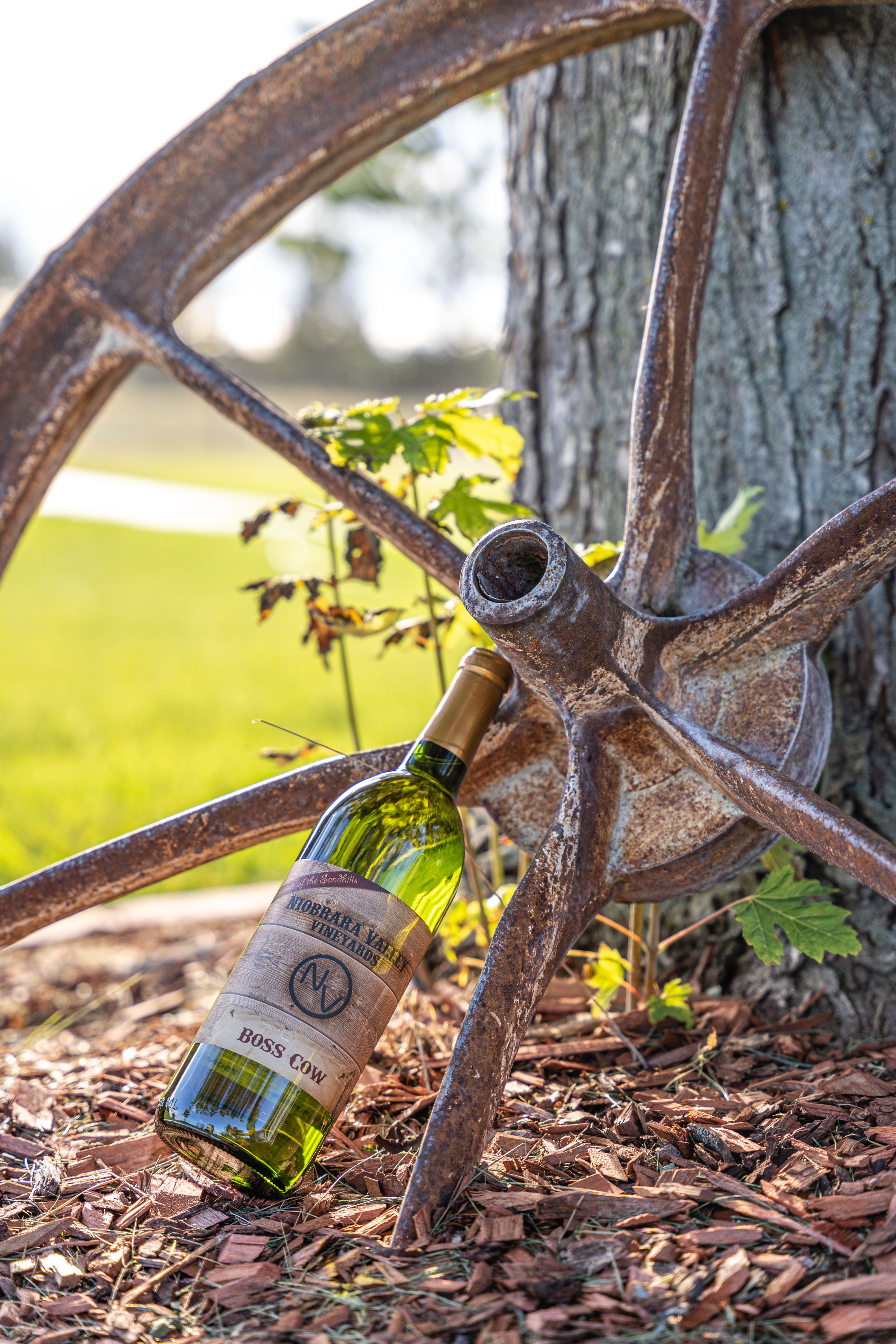 Niobrara Valley Vineyards