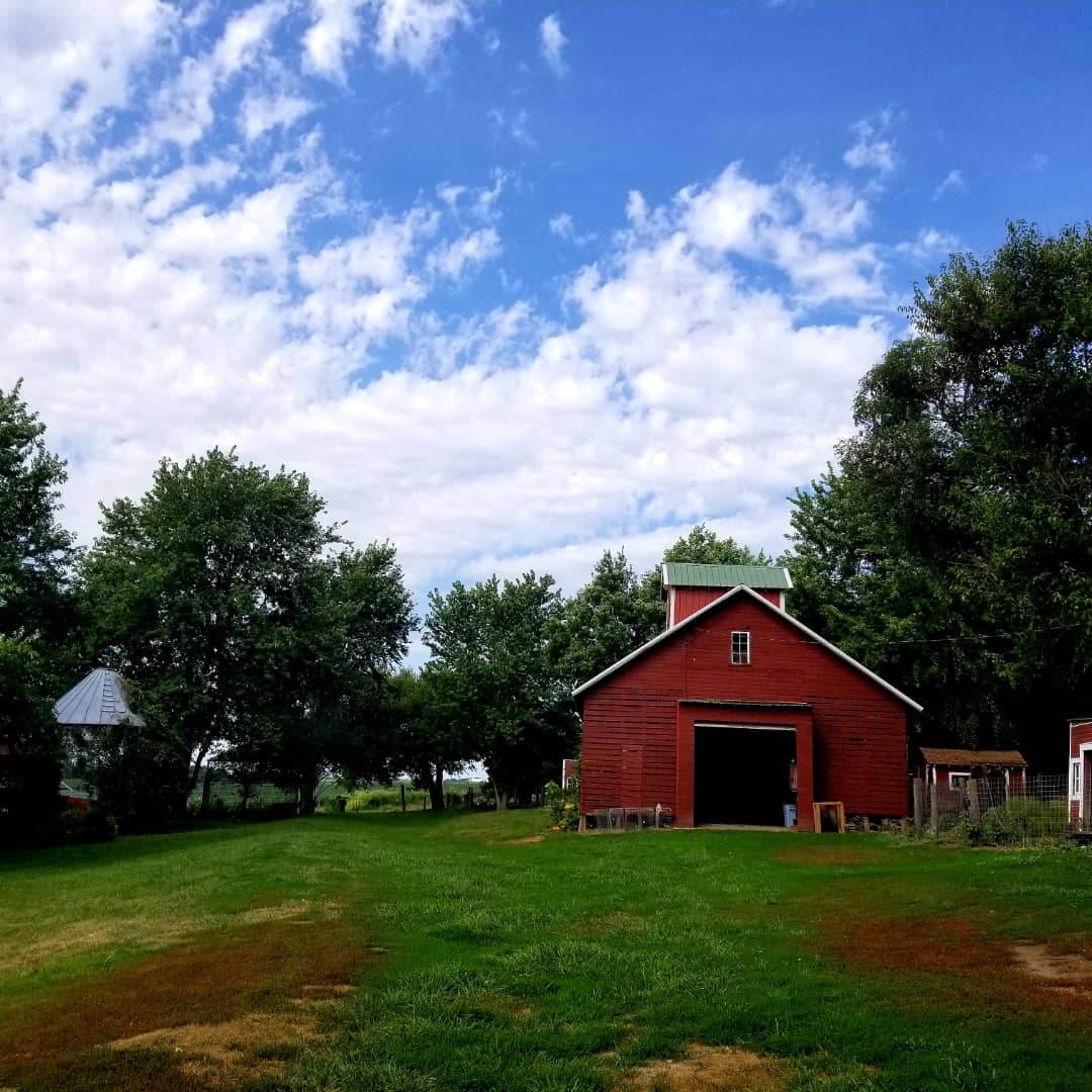 Old Poor Farm Animal Sanctuary