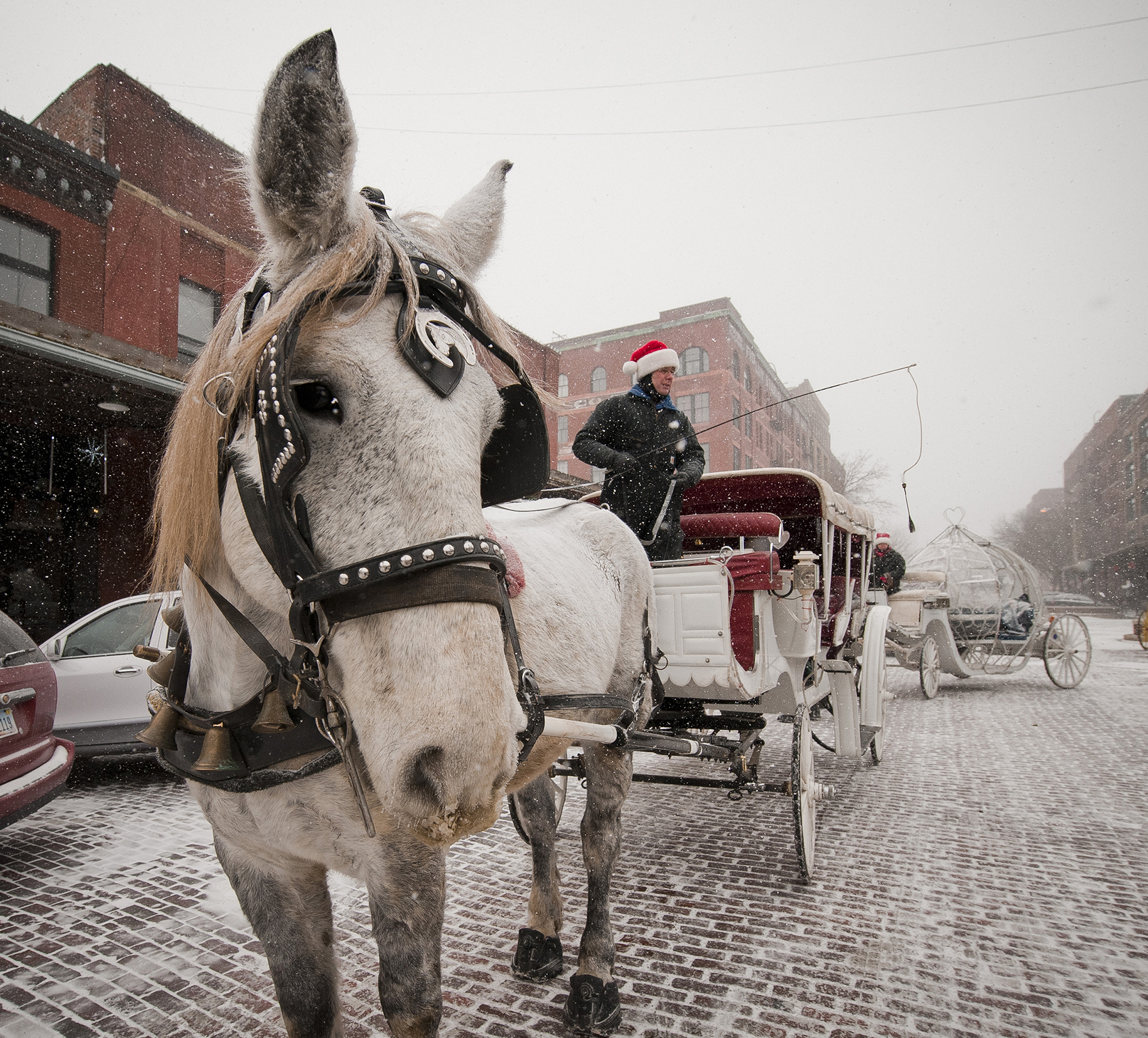 Horse-drawn carriage, part of Omaha Holiday Lights Festival